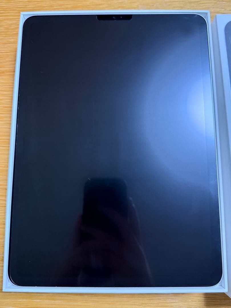 iPad Pro 11インチ 第1世代 64GB