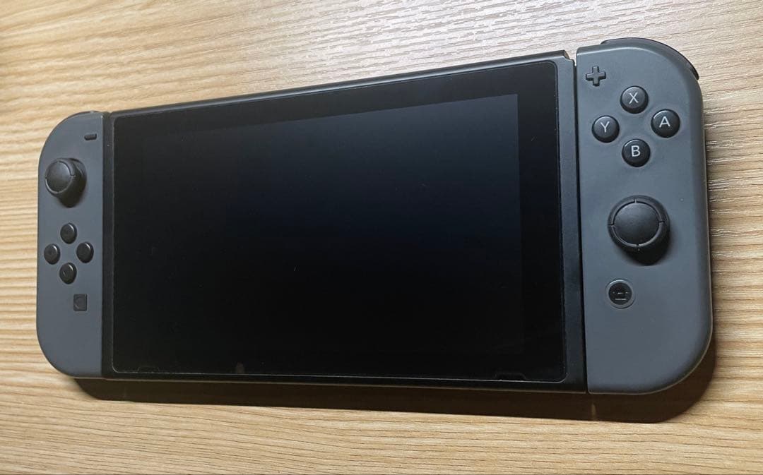 か*り様 Nintendo Switch グレー 本体 付属品完備 ケース付き