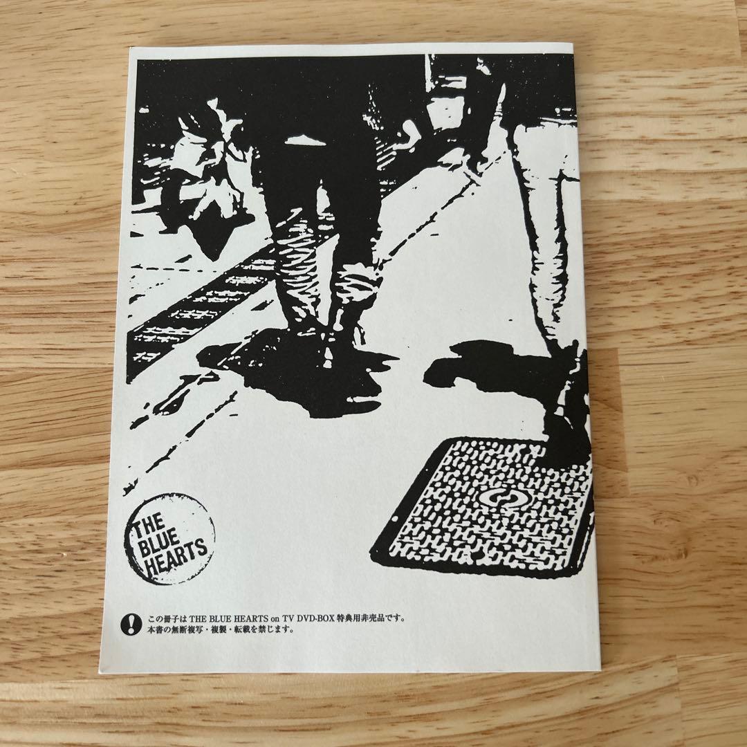 【美品】THE BLUE HEARTS on TV DVDボックス初回限定版
