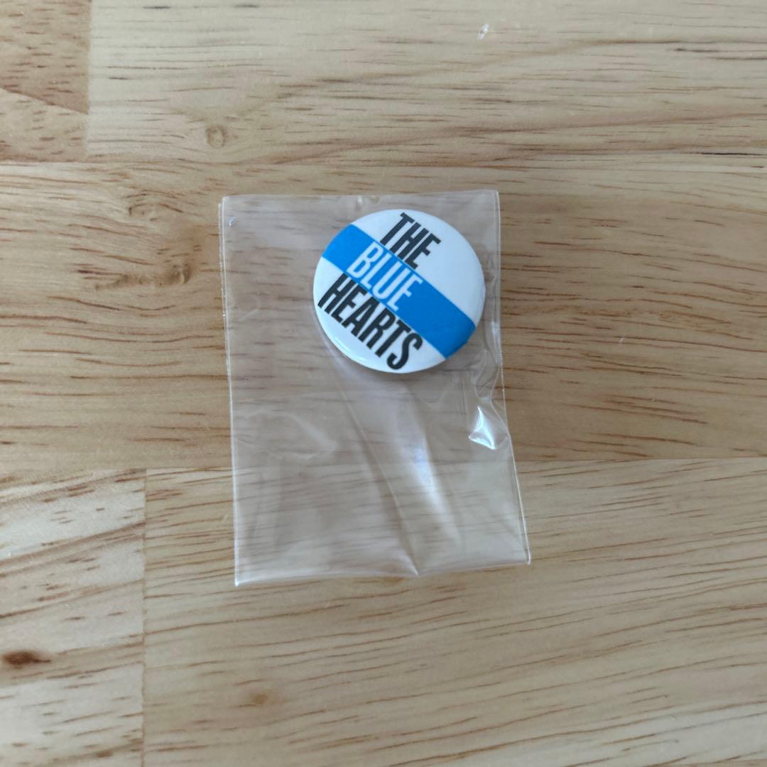 【美品】THE BLUE HEARTS on TV DVDボックス初回限定版