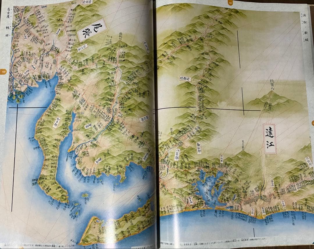 No.231 伊能図　出版社:武楊堂