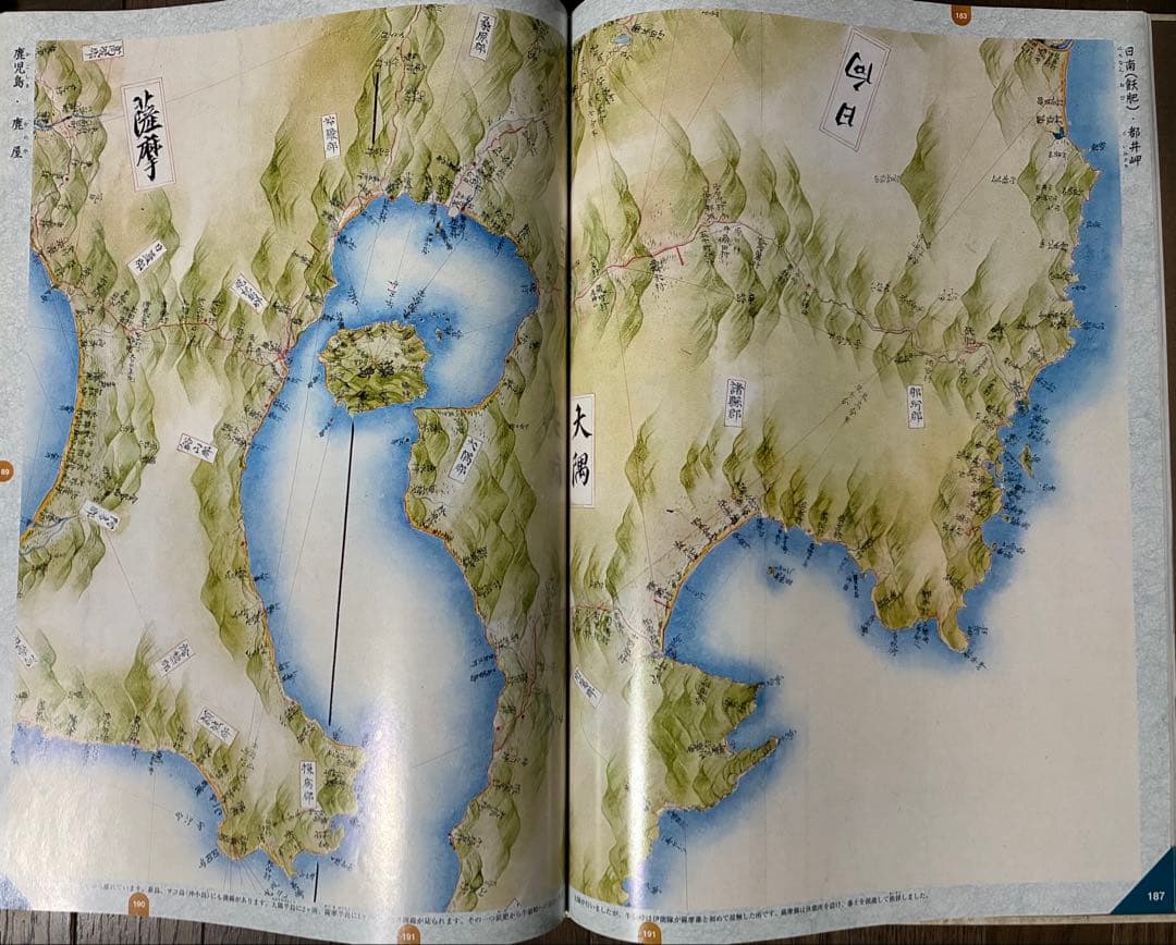 No.231 伊能図　出版社:武楊堂