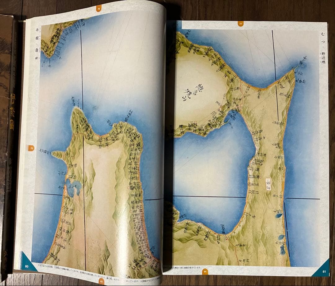 No.231 伊能図　出版社:武楊堂
