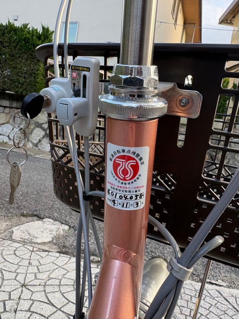 ブリジストン　アシスタ　電動アシスト三輪車 ピンクゴールド バスケット付き
