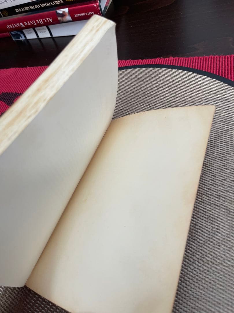 洋書 Cervantes A Collection of Critical Essay