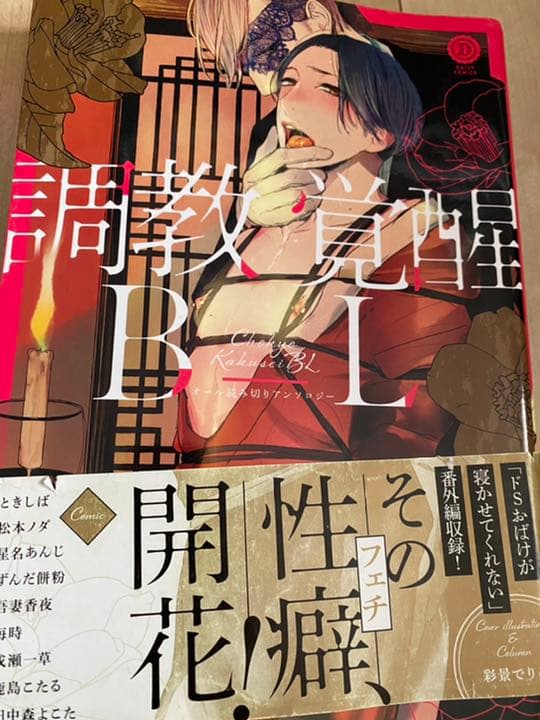 BL漫画 セット売り SMプレイシリーズ