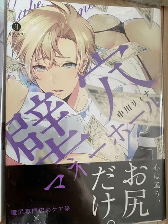 BL漫画 セット売り SMプレイシリーズ