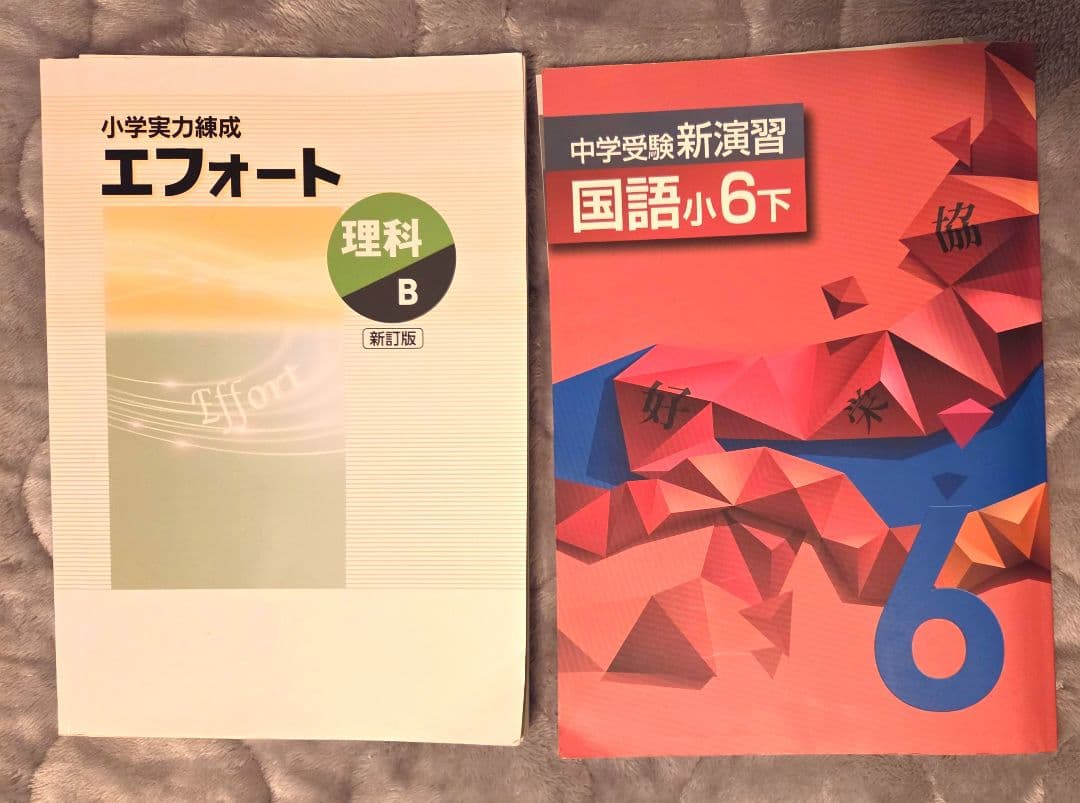 【湘南ゼミナール 公立中高一貫校 6冊セット♥】