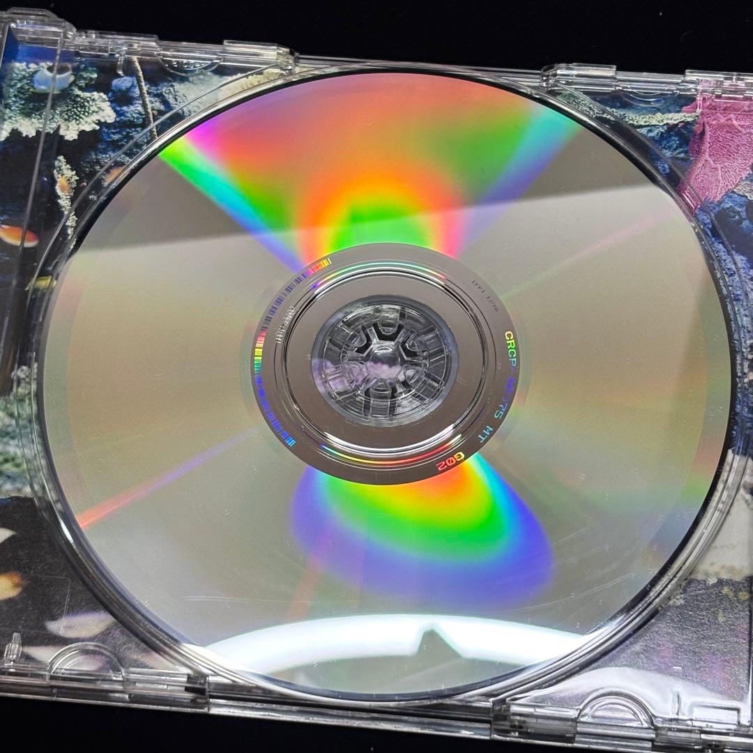 成田昭次 Free way フリーウェイ CD アルバム SHOJI 【6-7】