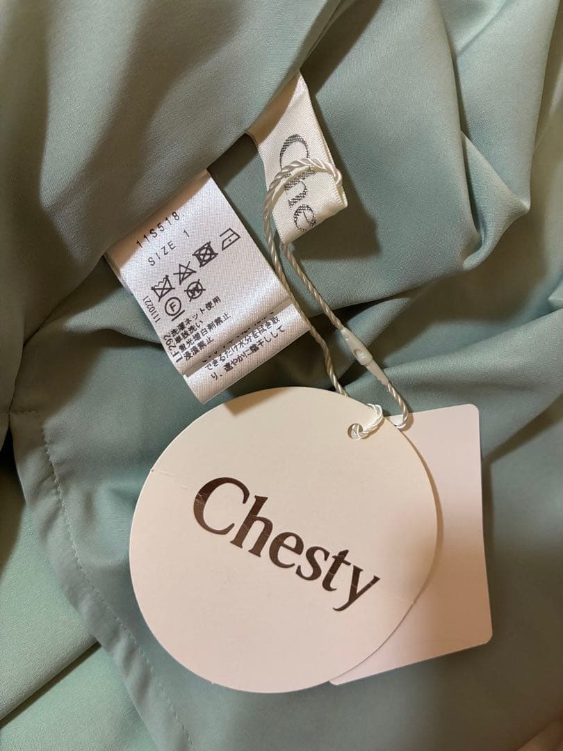 チェスティ　chesty ミントグリーン ワンピース ビジュー襟
