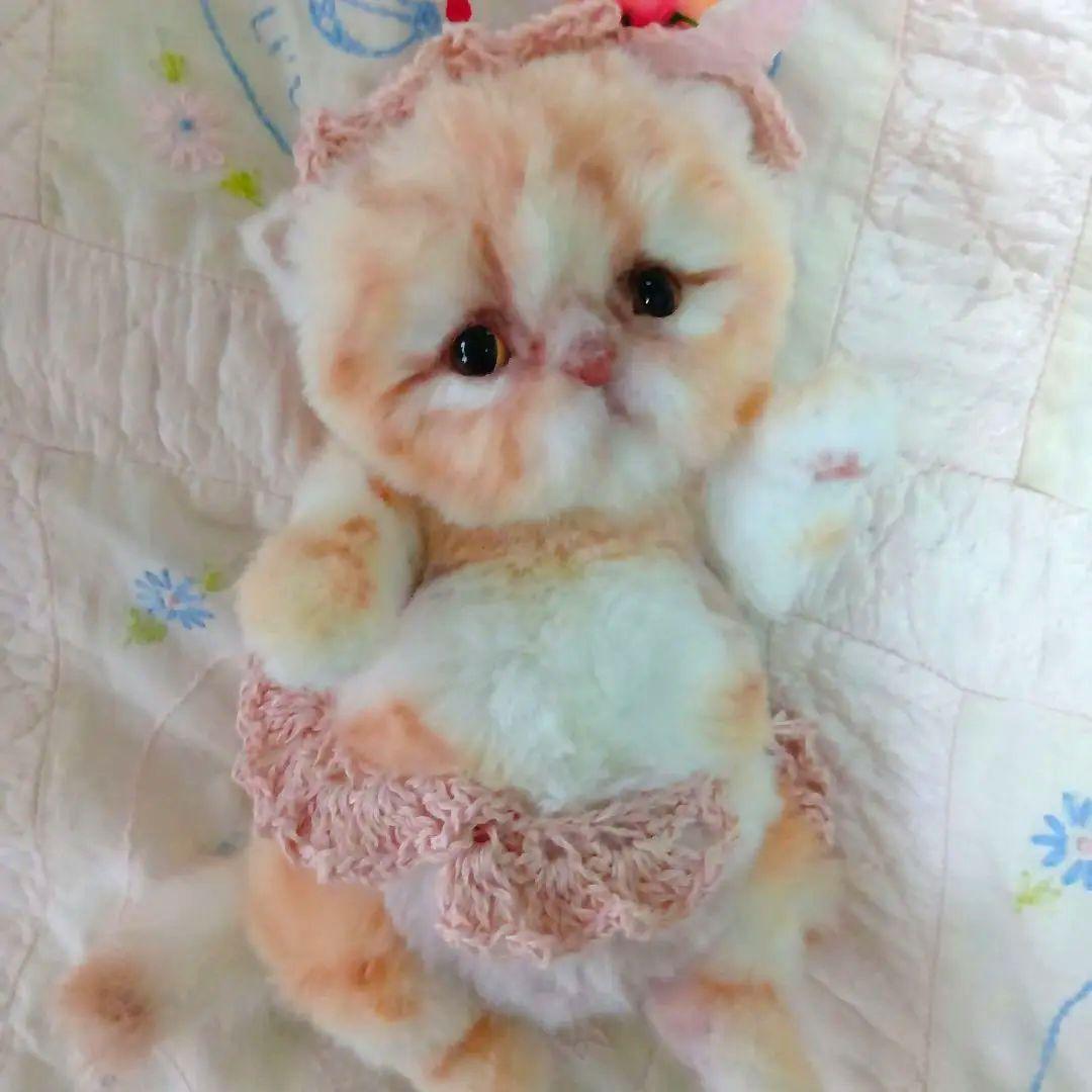 作家　ぬいぐるみ　アートドール　テディベア　仔猫　可愛い