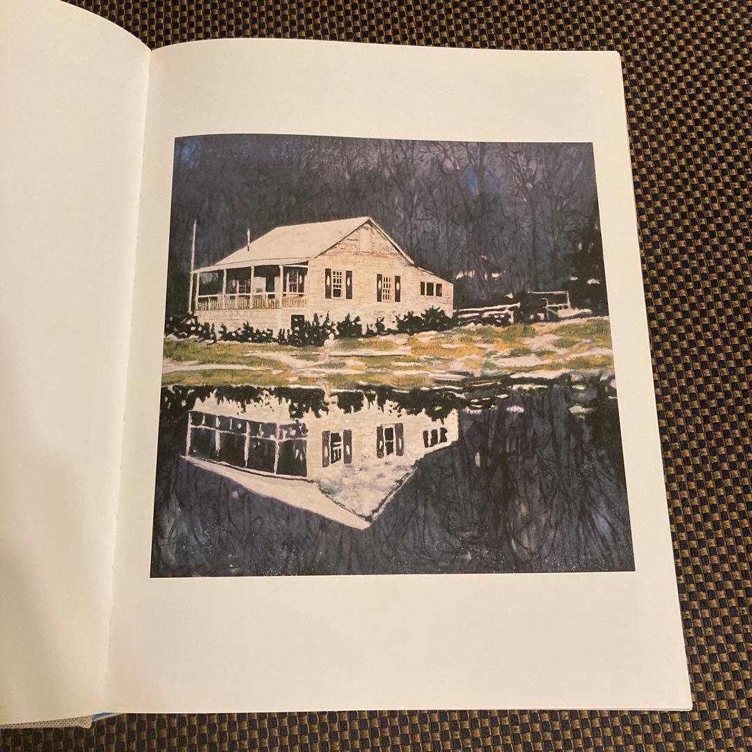 Peter Doig ピータードイグ　画集