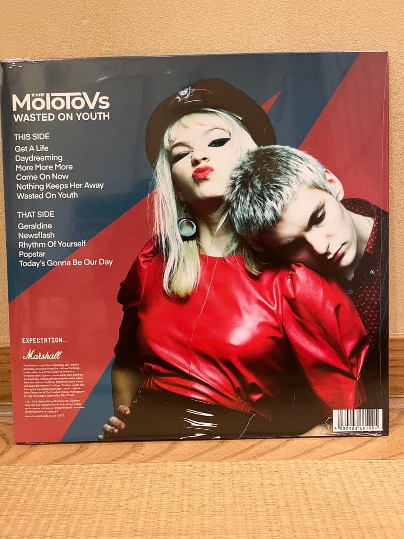 The Molotovs Wasted On Youth LP限定ジャケ