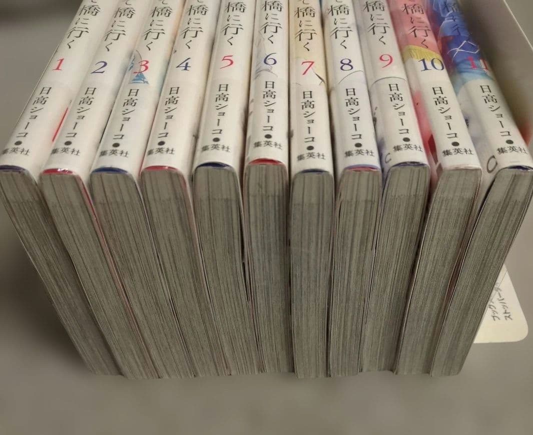 日に流れて橋に行く 1-11巻セット