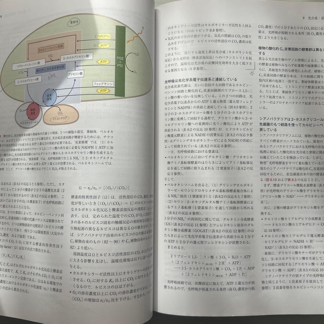 テイツ/ザイガー 植物生理学・発生学