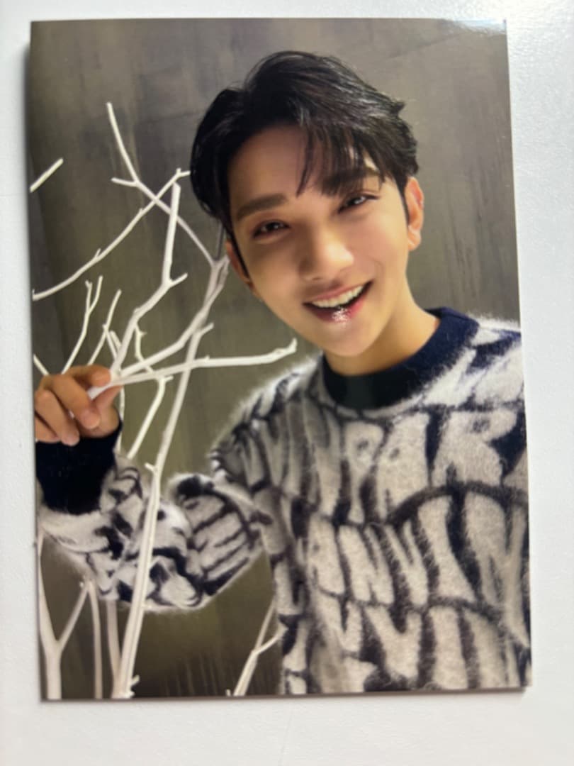 ジョシュア　seventeen 　あいのちから　タワレコ特典