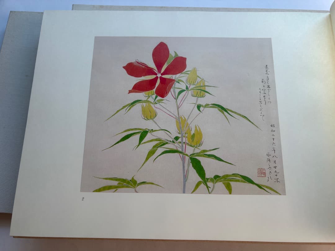 傳神譜　中村岳陵　4冊　写生画集　10.2kg 大型本画集　箱付　日本画　絵画