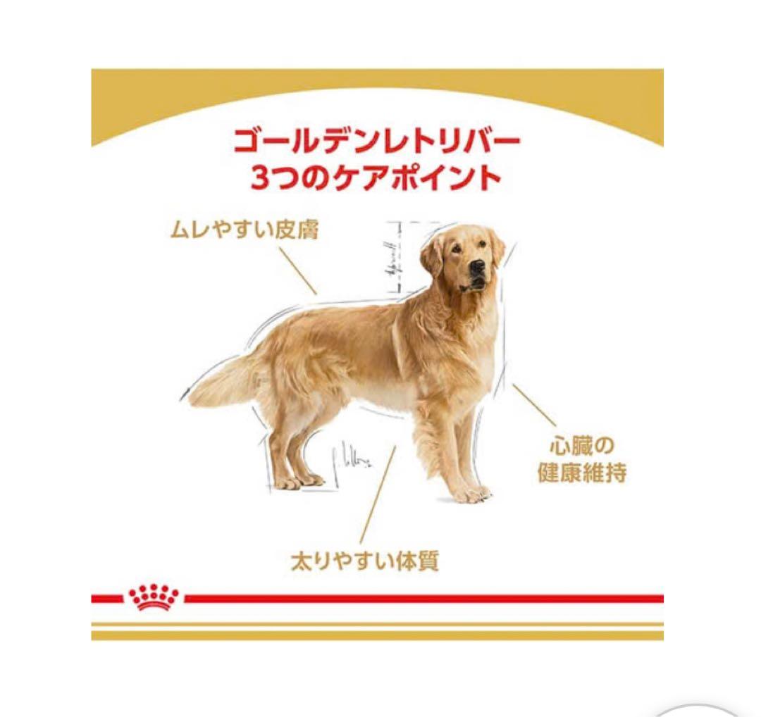 ゴールデンレトリバー 専用フード 成犬〜高齢犬用１２kg ロイヤルカナン