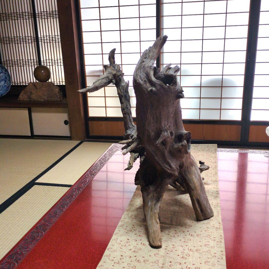 天然木　枯木 インテリア　置物　盆栽　生け花