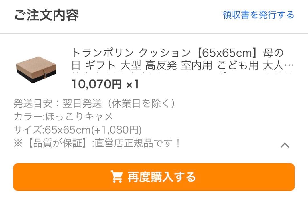 ほぼ新品　SOHAPI トランポリンクッション　正方形マット 持ち手付き