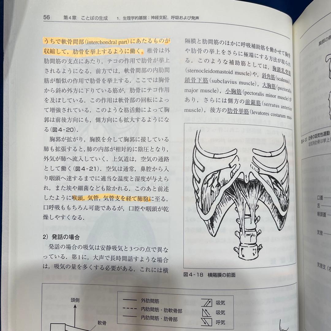 R⑤ 新ことばの科学入門 医学書院