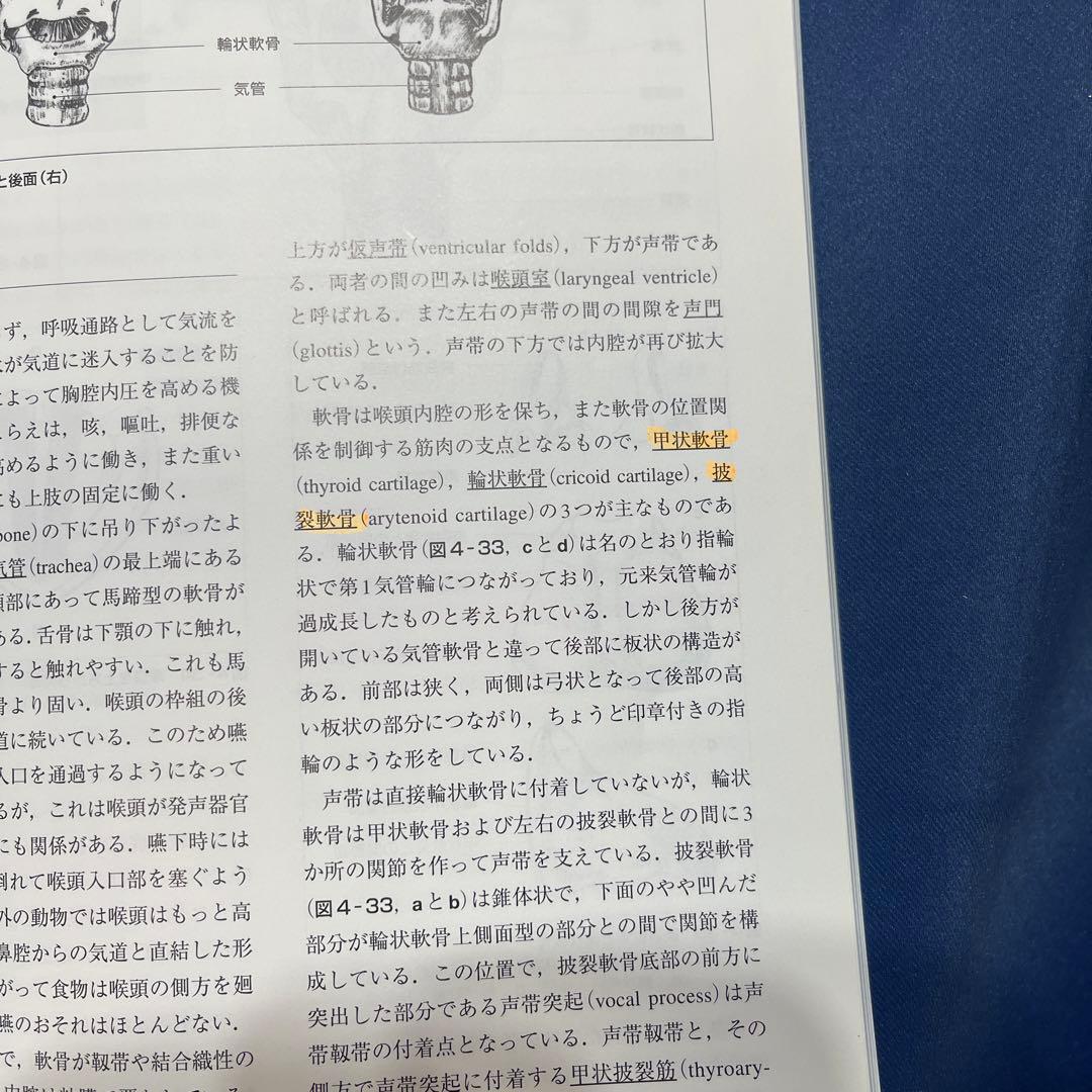 R⑤ 新ことばの科学入門 医学書院