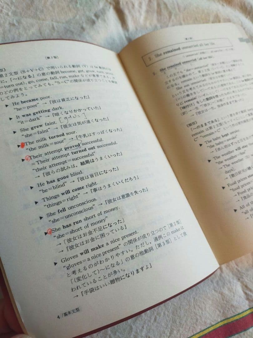 名著★山口俊治 基本英文読解辞典 語学春秋社