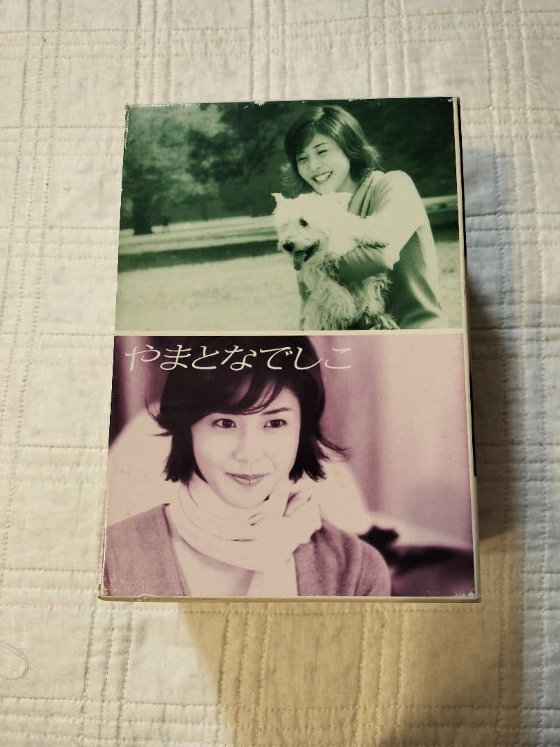 やまとなでしこ DVD-BOX〈6枚組〉初期販売中古品