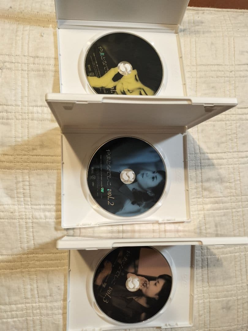 やまとなでしこ DVD-BOX〈6枚組〉初期販売中古品