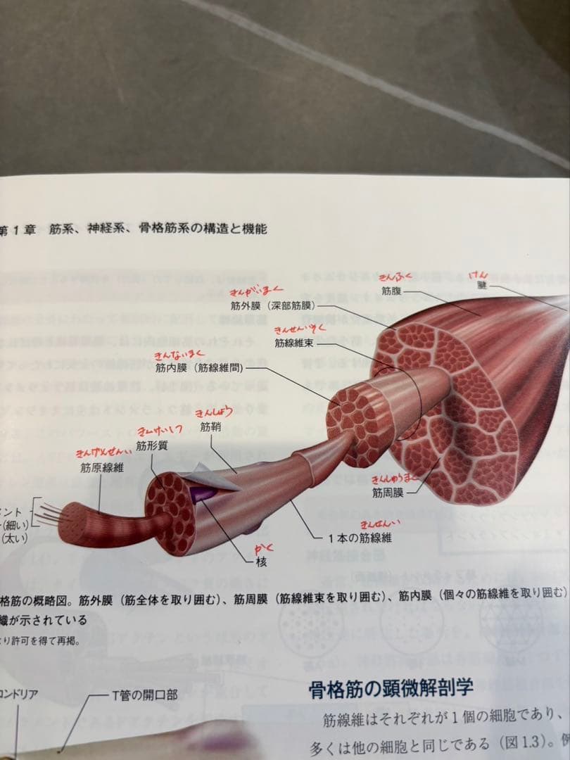 NSCA パーソナルトレーナーのための基礎知識 第2版