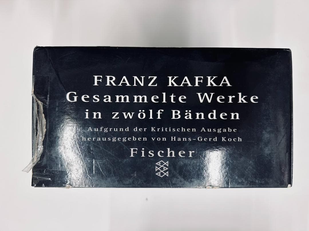 洋書 カフカ全集 12冊セット FRANZ KAFKA Fischer ドイツ語