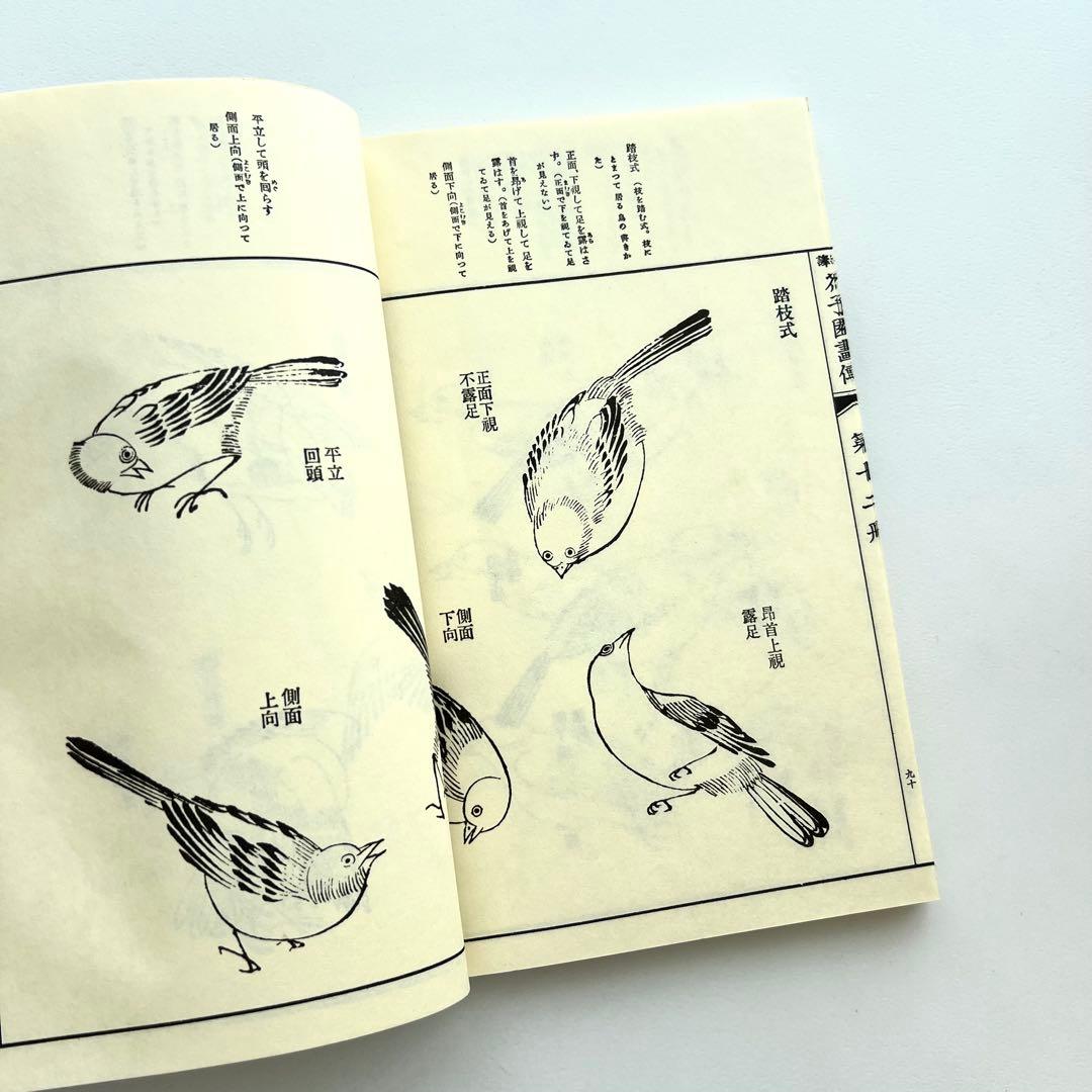 芥子園画伝　全13巻セット⠀小杉放庵⠀公田連太郎⠀水墨画
