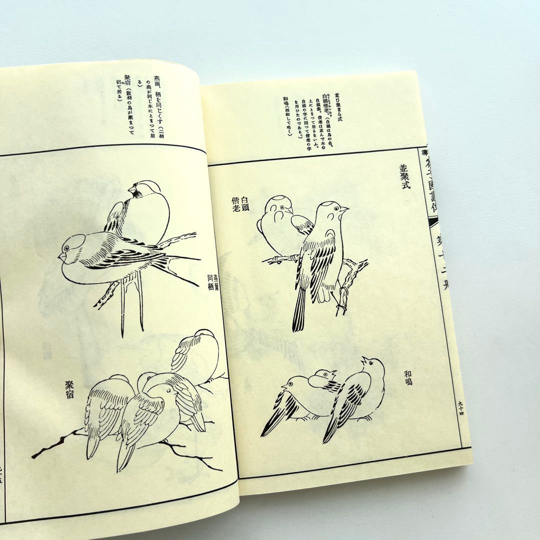 芥子園画伝　全13巻セット⠀小杉放庵⠀公田連太郎⠀水墨画