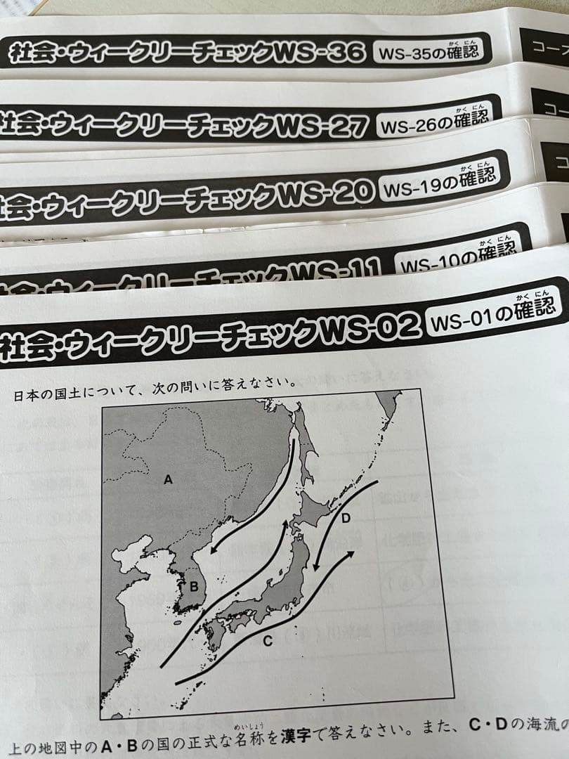 Sapix 6年 理科と社会 ウィークリーサピックス　まとめ買い