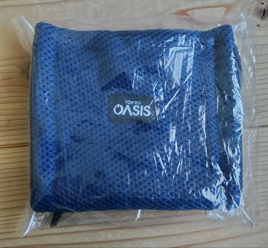 OASIS スタイリーボール　充電式　エクササイズ　器具 オアシス　ネイビー
