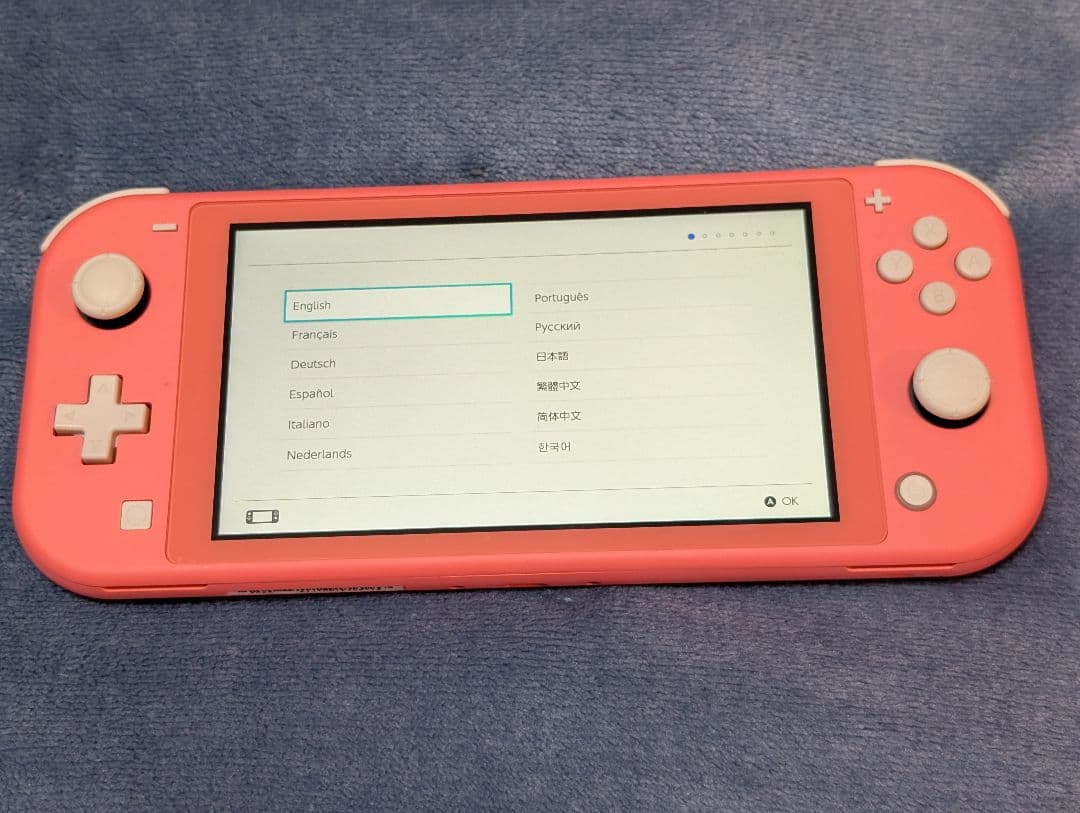 Nintendo Switch Lite ピンク・ターコイズカバー