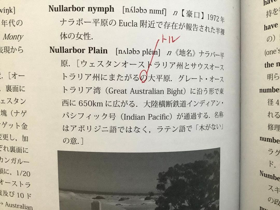 オーストラリア ニュージーランド 英語文化大辞典 【美品】