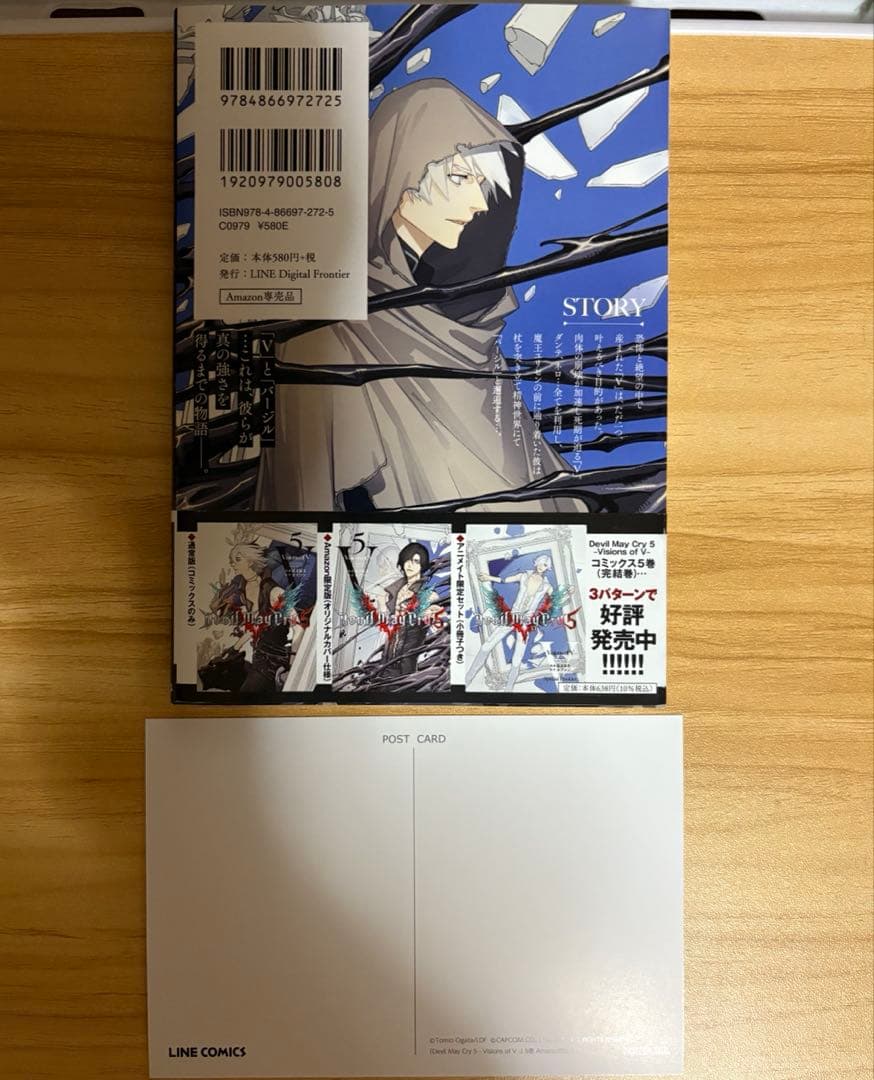 Devil May Cry 5 Visions of V Amazon 限定版