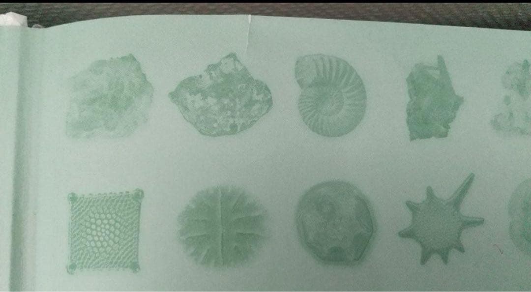 地球博物学大図鑑　スミソニアン