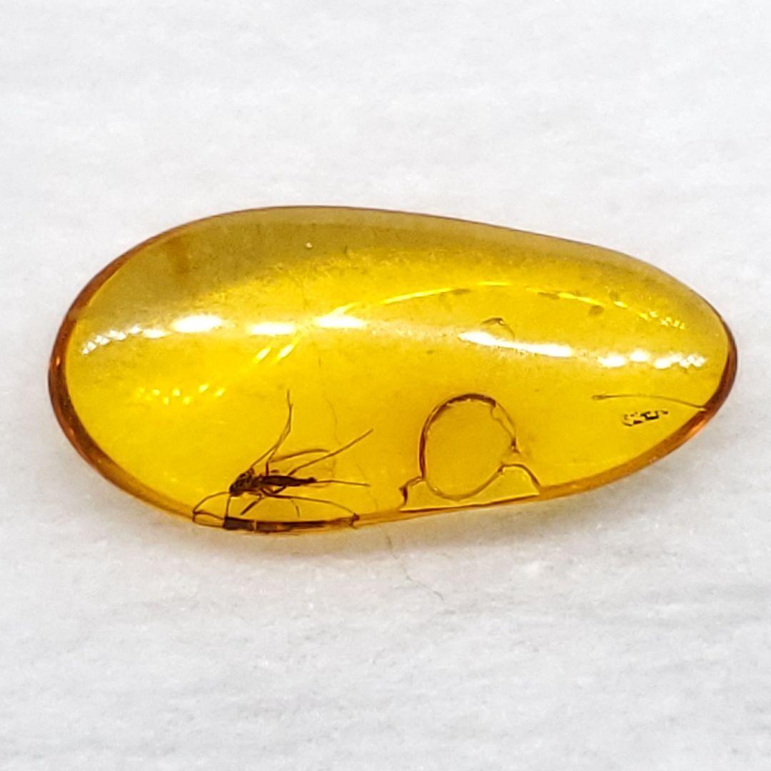 虫入り 琥珀 化石 本物 バルト海産 ケース付き 14.34mm ab238