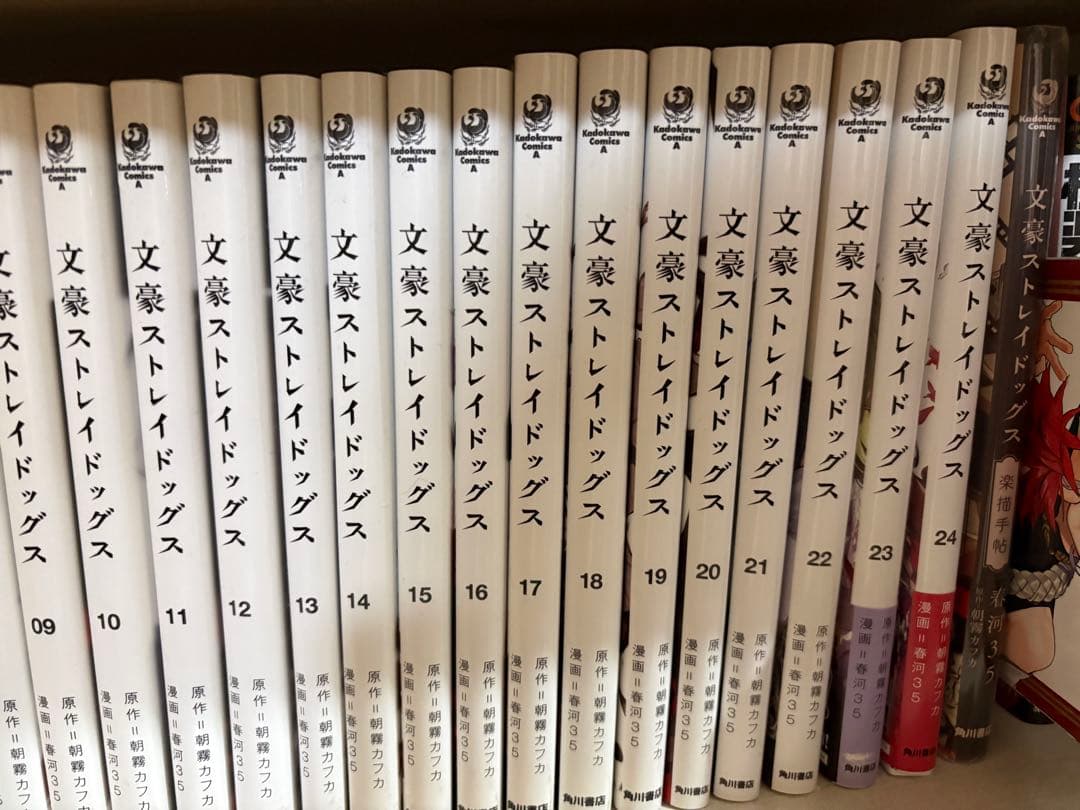 文豪ストレイドッグス 全24巻セット+関連本　全32冊