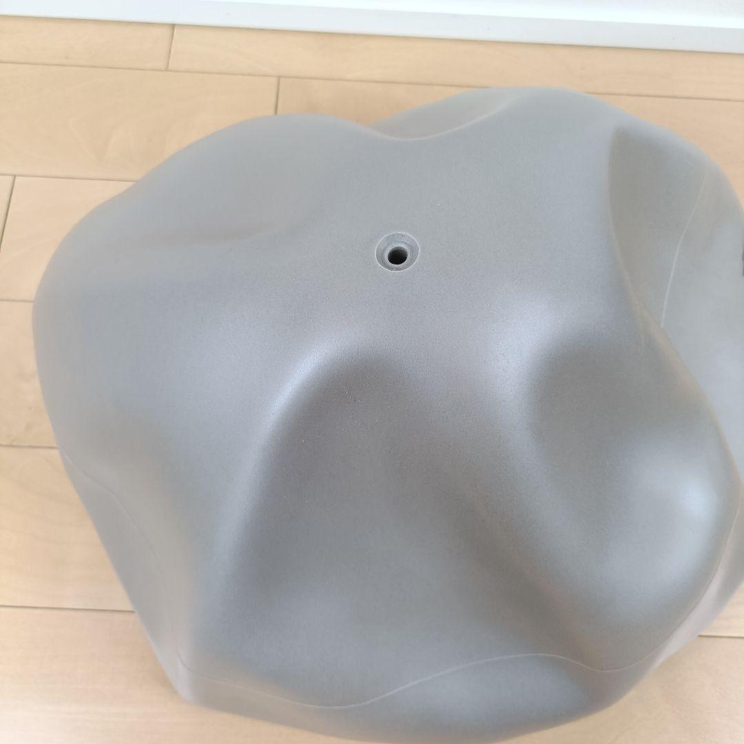 ☆Technogym☆WELLNESS BALL テクノジム バランスボール
