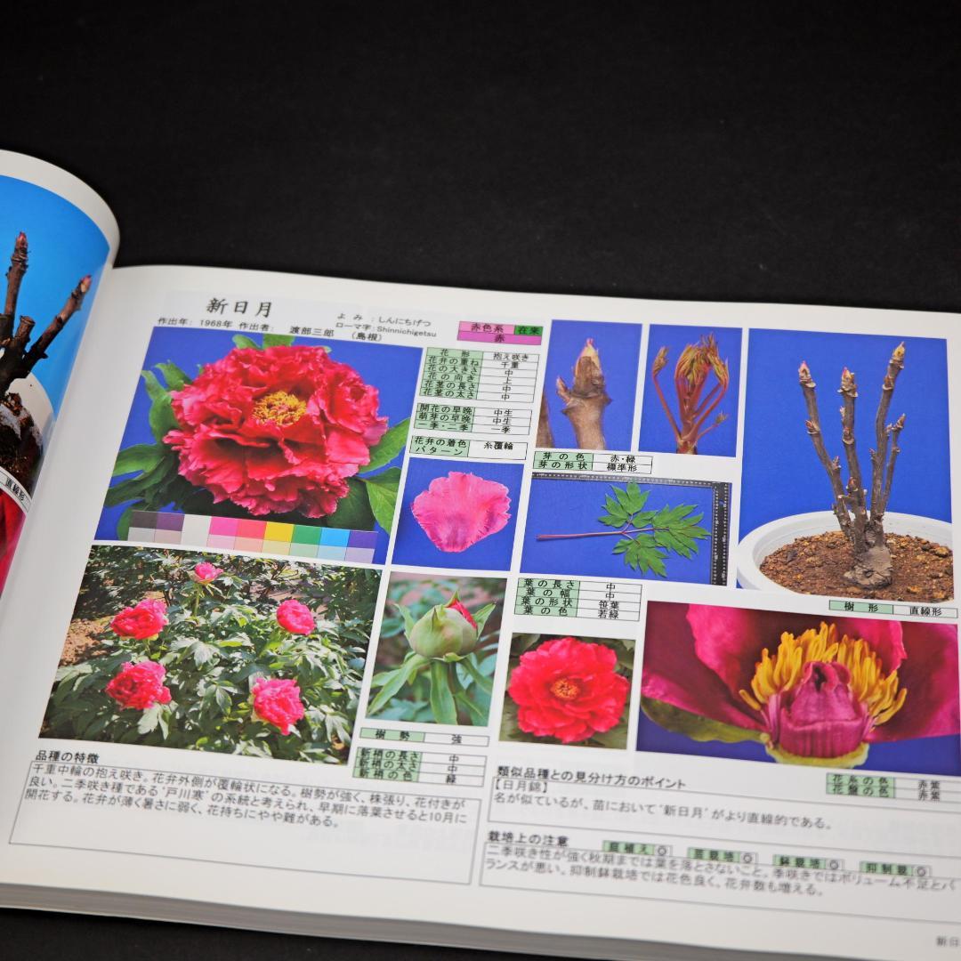 牡丹名鑑 （350種以上にのぼる品種を写真で解説）