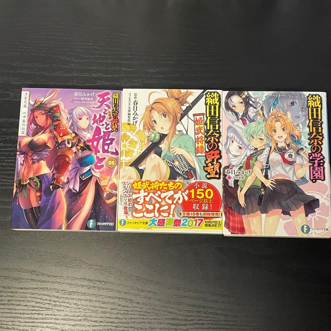 織田信奈の野望 全国版 安土日記 天と地と姫と 姫武将録 学園 全巻33冊セット