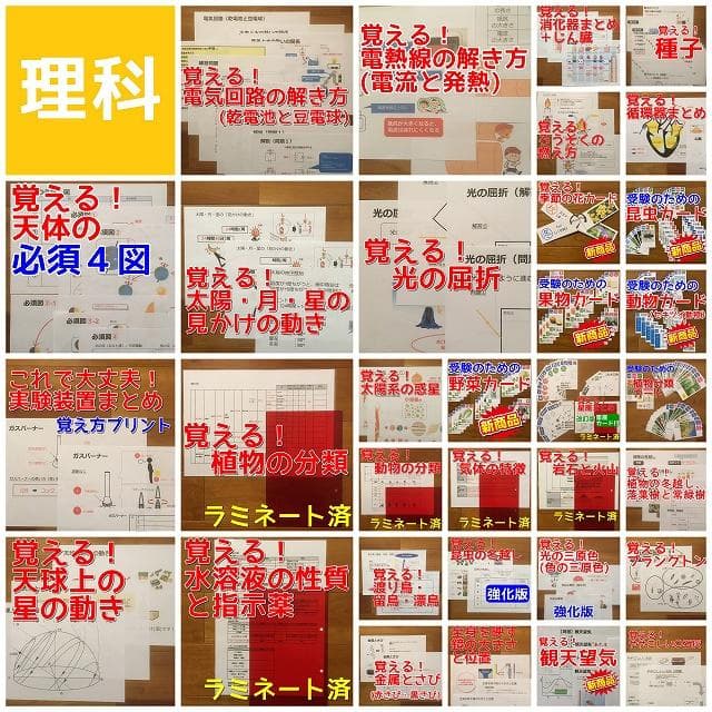 ✨63000円➡44000円✨【～3/1期間限定特価】理科全部入り