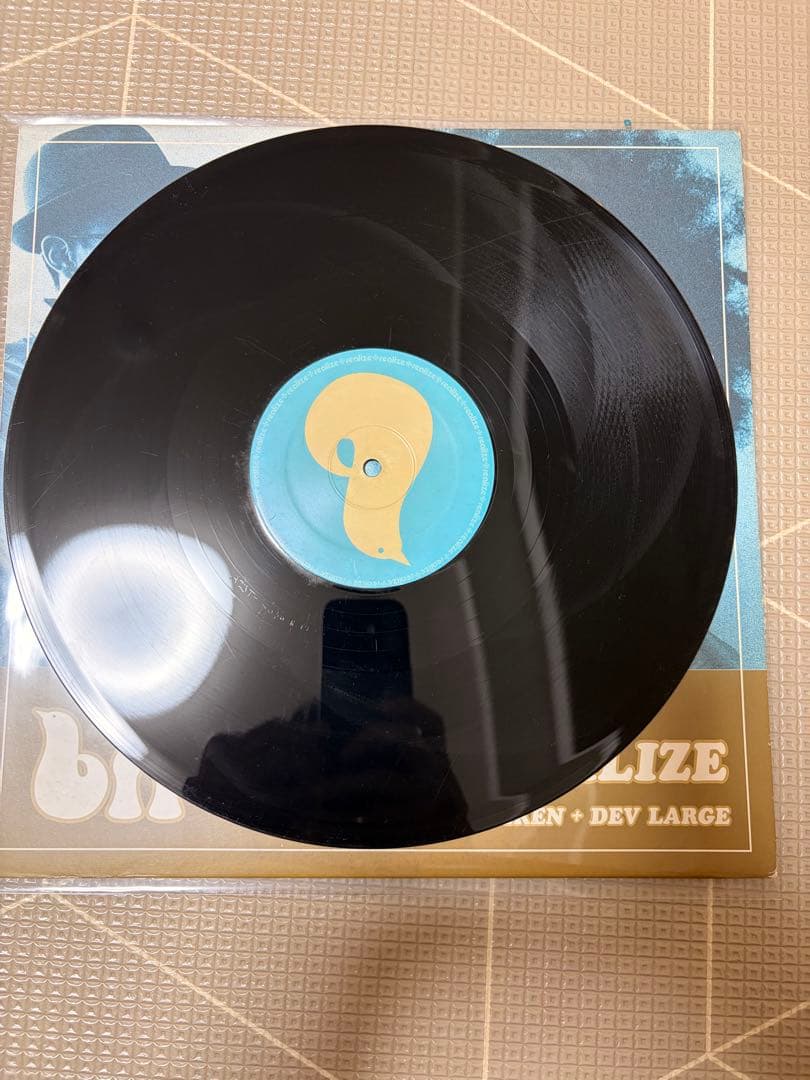 【極上D.L2枚セット】DEV LARGE / bird 12inch