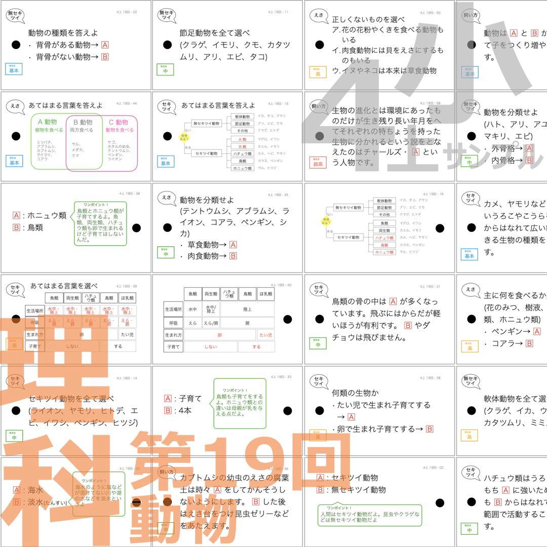 中学受験 暗記カード【4年上ハーフセット 理科11-19回】組分け対策 予シリ