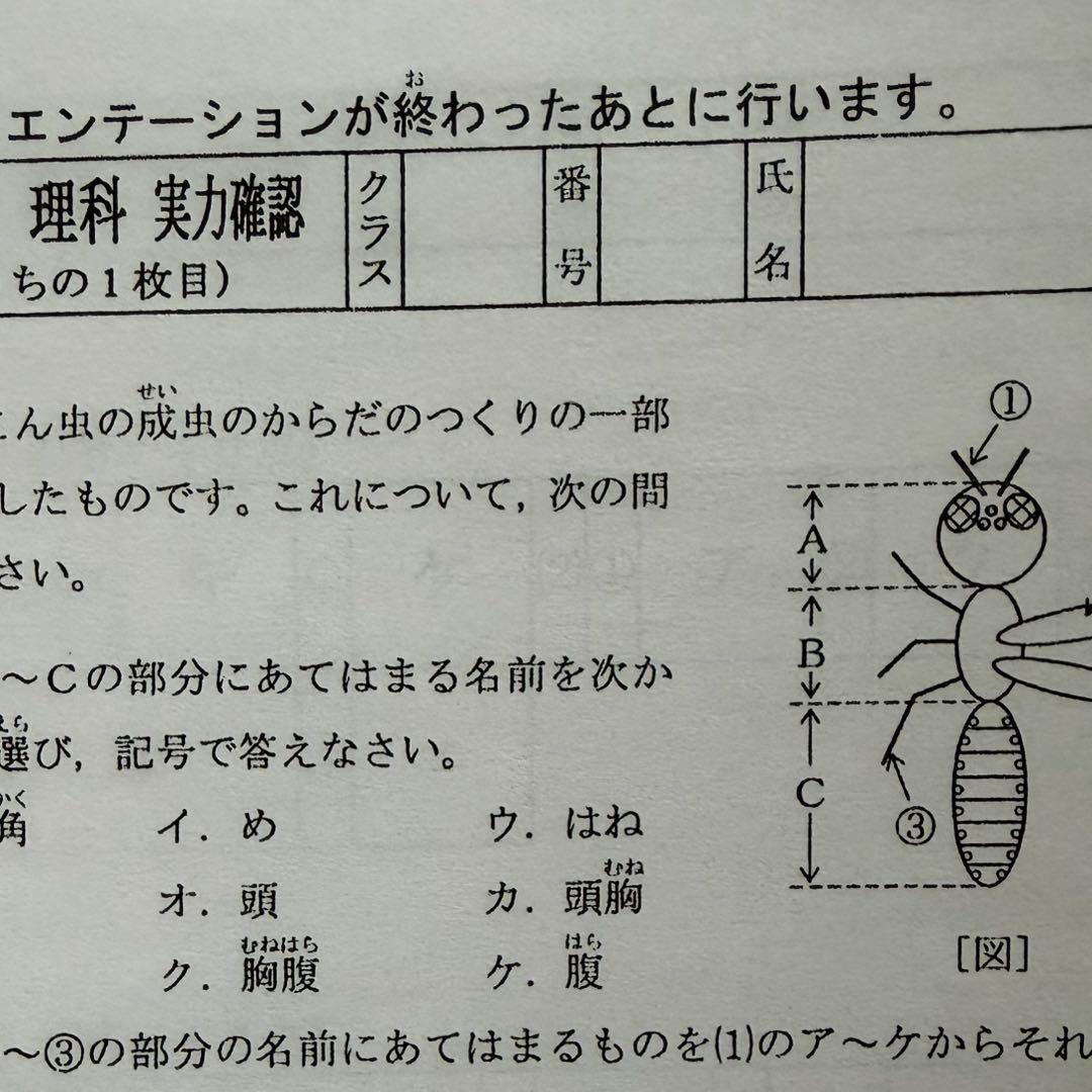 浜学園 vクラス 復習テスト　3科目　国語　算数　理科　2026年　即発送