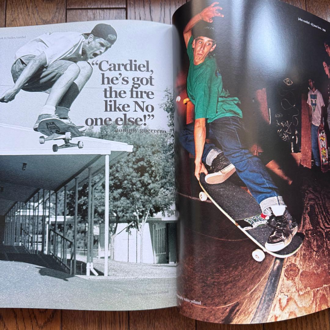 Lance Mountain SkateBook III 3 シンプソンズ