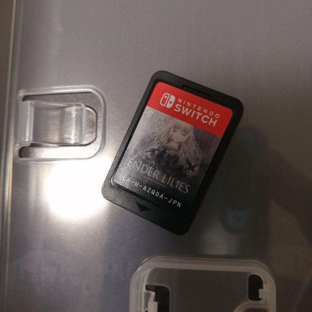 Switch ENDER MAGNOLIA & ENDER LILIES セット
